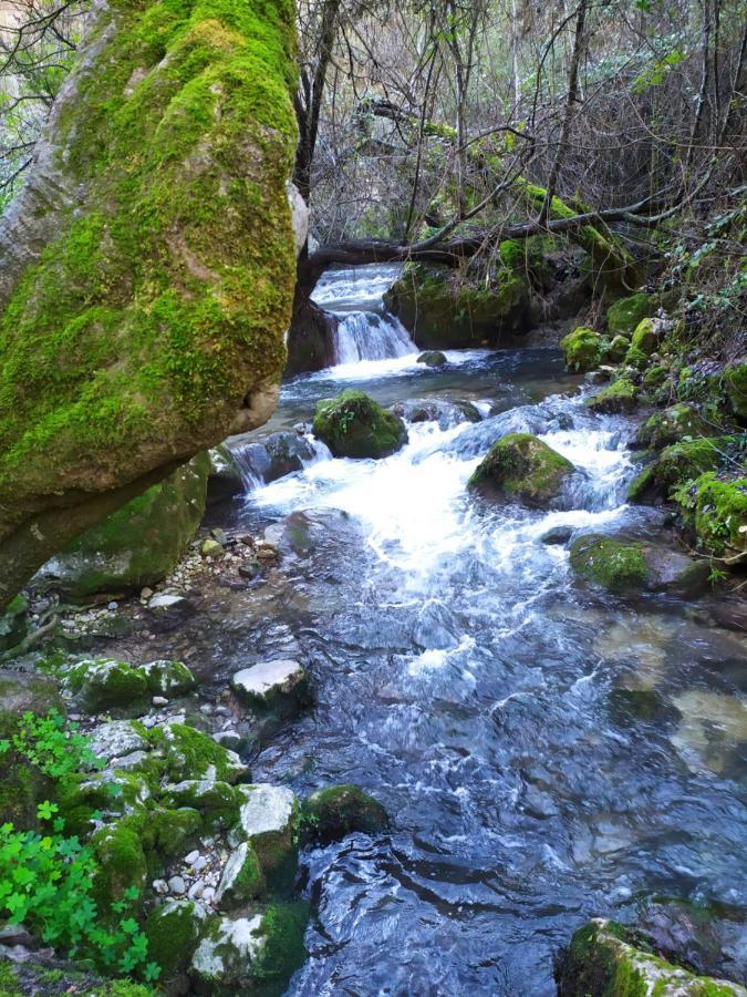Appartamento Casa Curro El Bosque Esterno foto